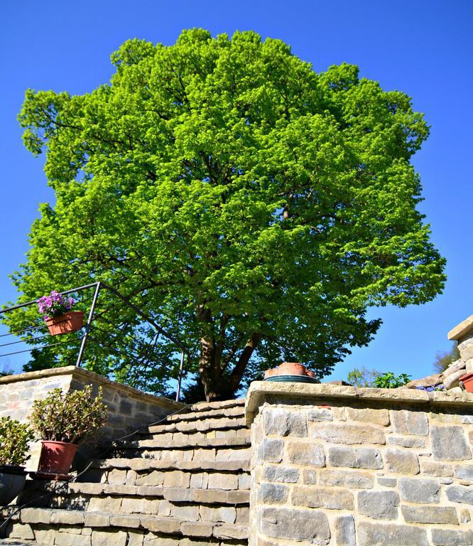 Cascina Il Convivio Guest House Diano dʼAlba Eksteriør bilde