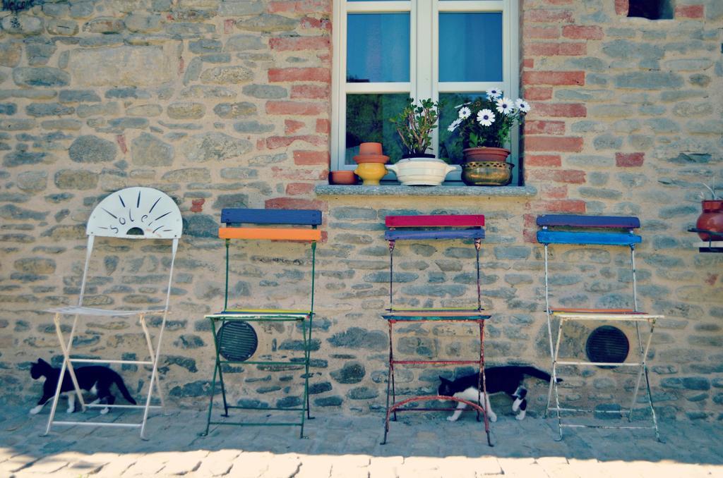 Cascina Il Convivio Guest House Diano dʼAlba Eksteriør bilde