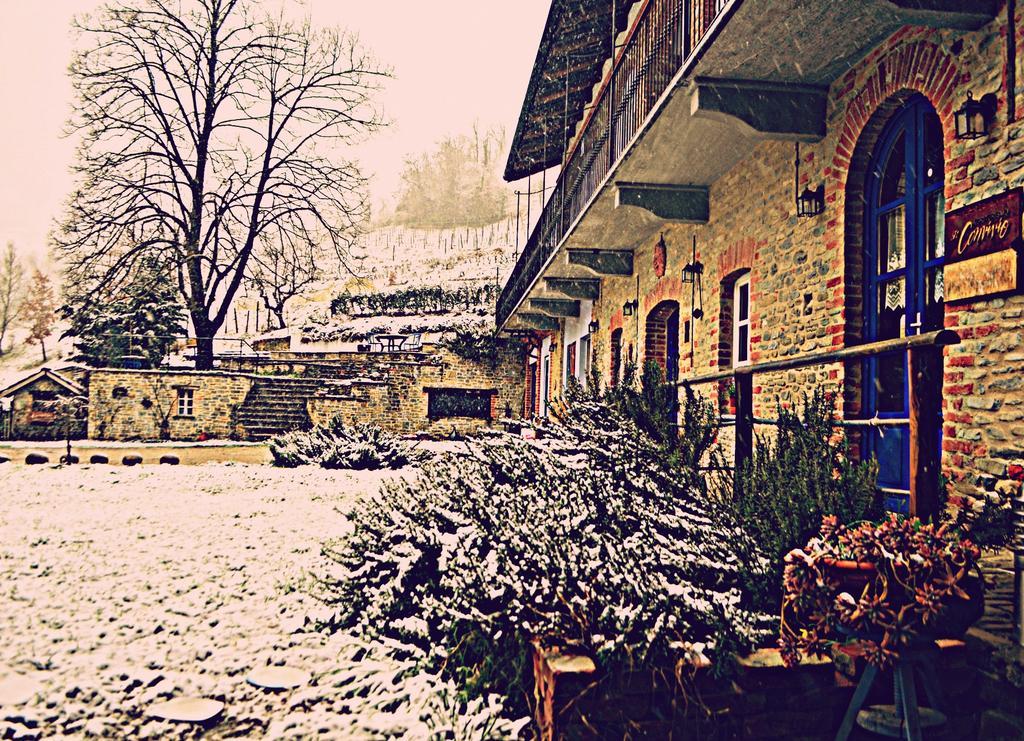 Cascina Il Convivio Guest House Diano dʼAlba Eksteriør bilde